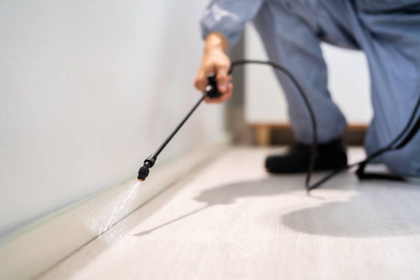 Professional exterminator conducting IPM assessment in Shell Valley