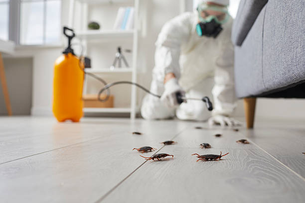 Commercial Rodent Management in Shell Valley